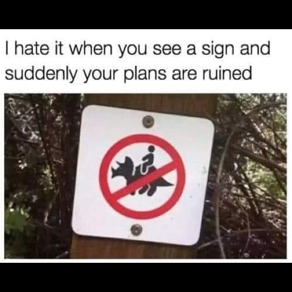 Meet your Posher, Emma - Picture 1 of 1